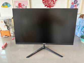 24 in element computer monitor