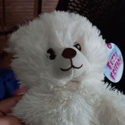 White Teddy Bear