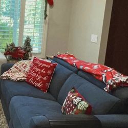 Power Reclining Couch