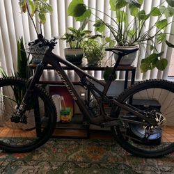 Specialized Stumpjumper EVO Comp Mountain bike