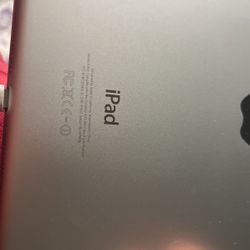 iPad Mini