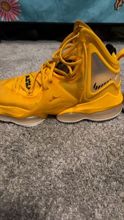 LeBron Nikes