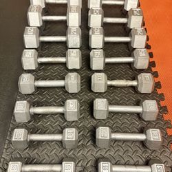 The Couple's Set... Cast Iron Hex Dumbbells: 5s, 8s, 10s, 12s, 15s, 20s, 25s and 30 pounders. Brute W= 250#