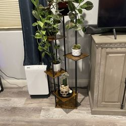 New Plant Stand