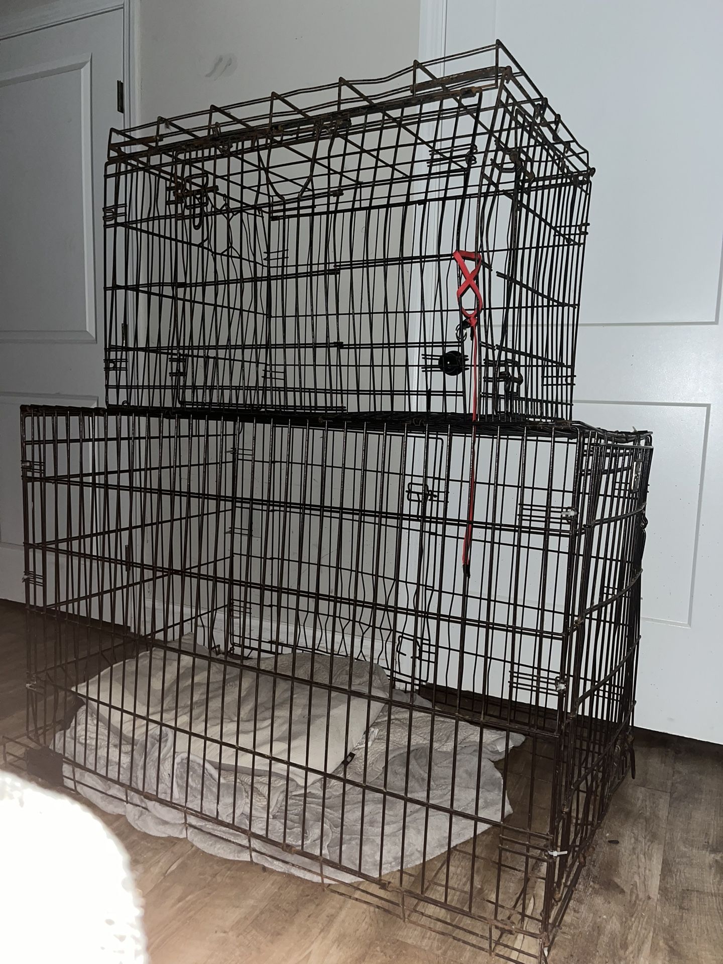 medium dog crate