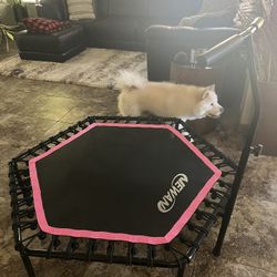 Personal Fitness Trampoline
