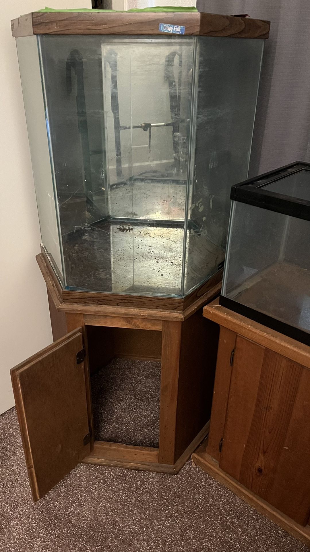 39Gallon hexagon aquarium