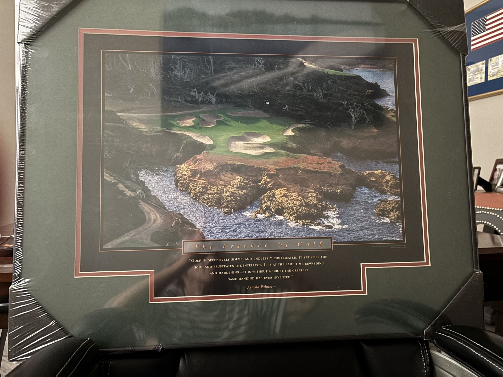 Arnold Palmer Framed Memorabilia