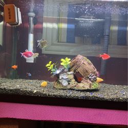 Top Fin 20 Gallon Fish Tank 