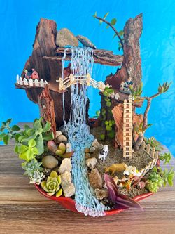 Succulent Arrangement