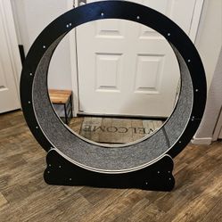 Cat Exercise Wheel