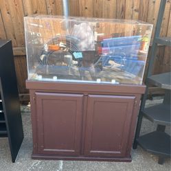 Fish Tank With Stand