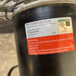 Fan