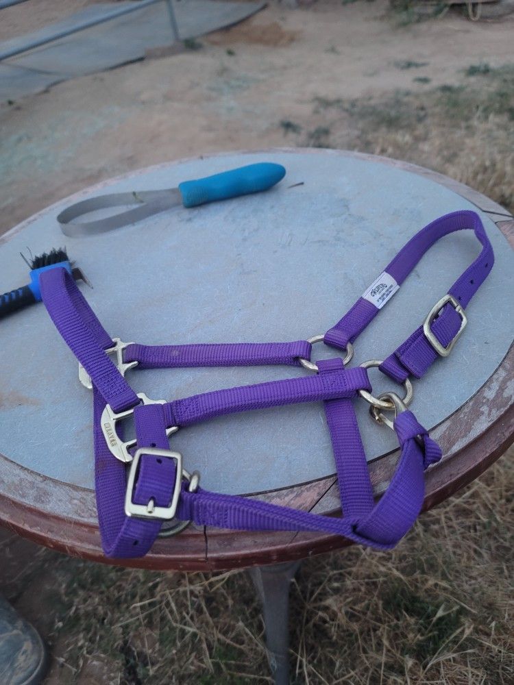 Weaver Halter