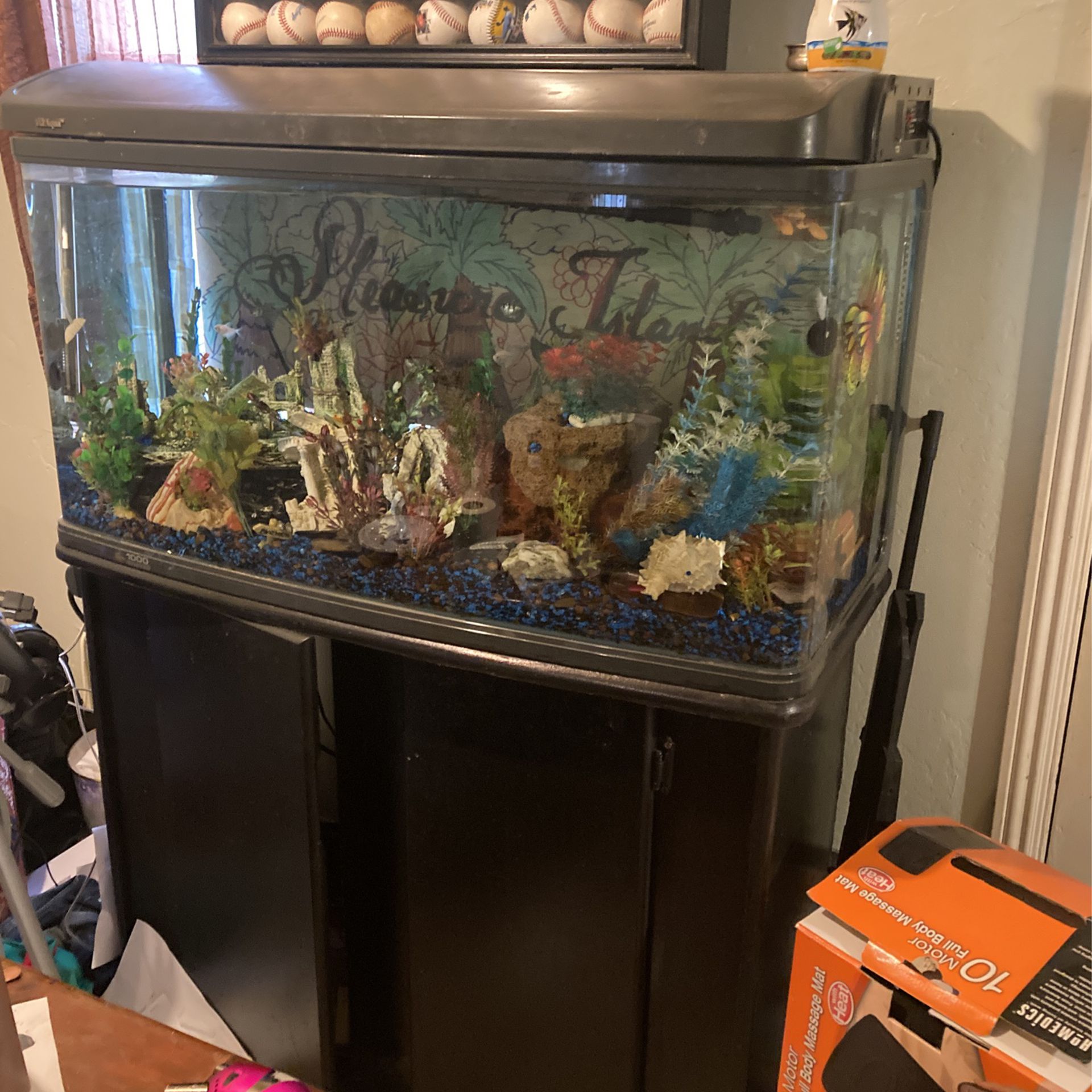 Beautiful Fish Tank 100 Gal 