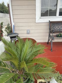 Front Porch Outlet