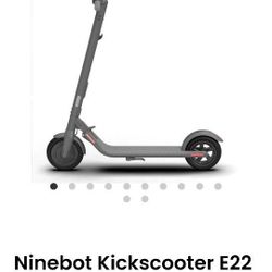 Enhanced And Modified SEGWAY Ninebot Electric Kickscooter E22 