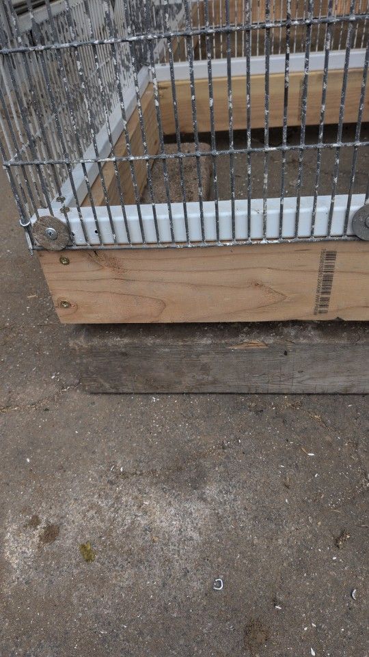 Bird Wire Mesh Cage No Cages For Sale