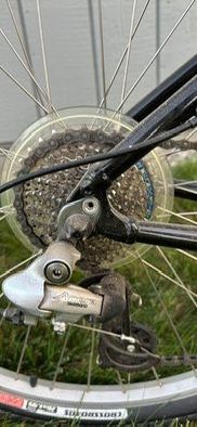 Specialized Expedition Bike