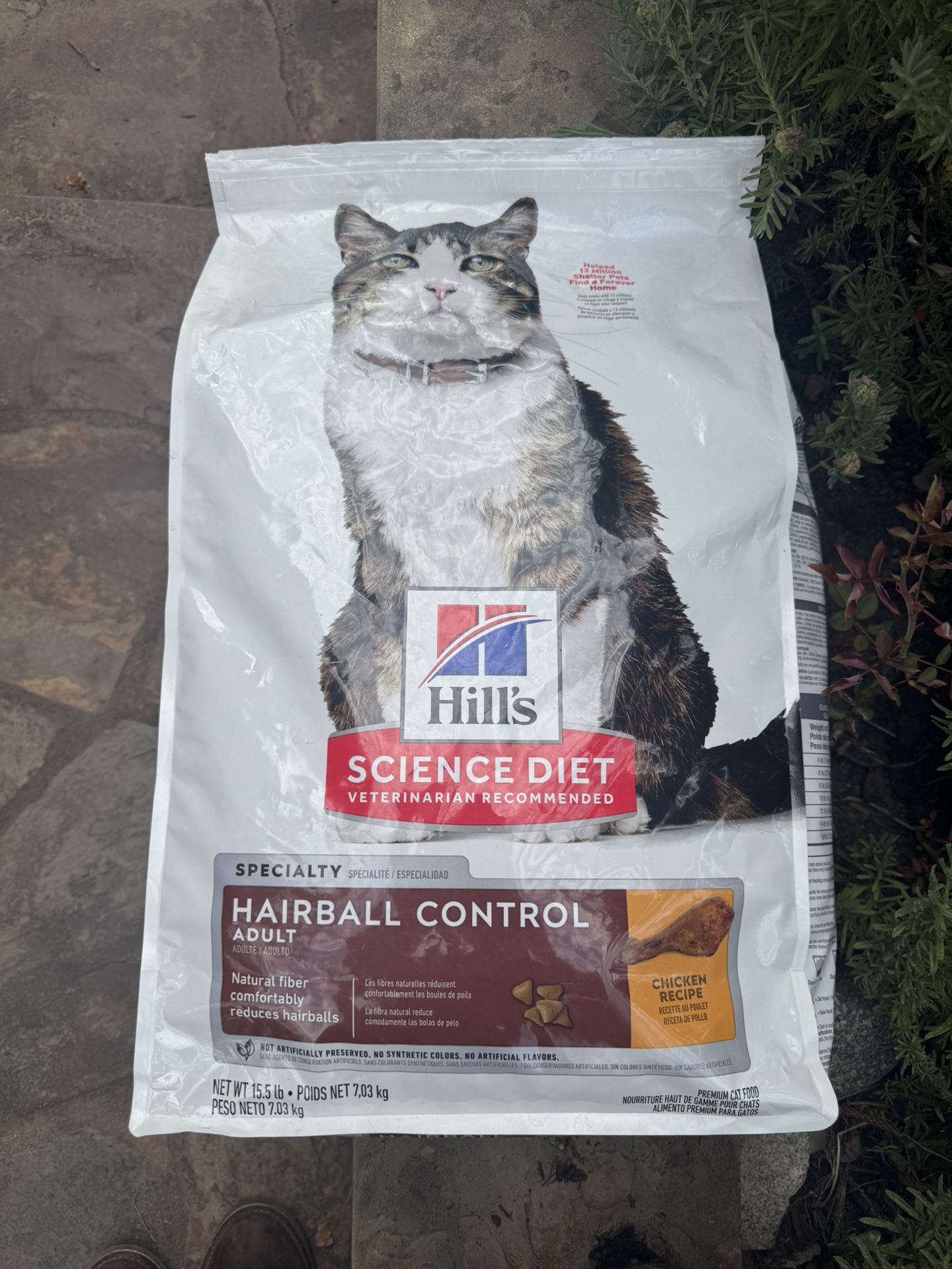 Hills Cat Food