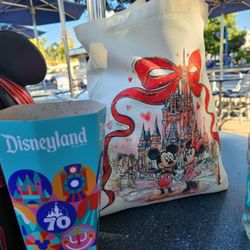 Disneyland Tote Bag