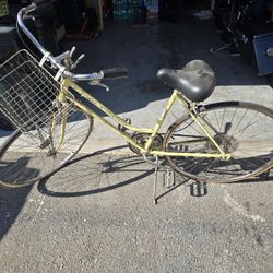 Vintage Schwinn 