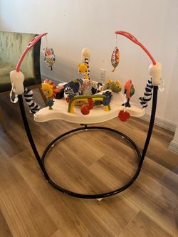 Fisher Price Baby Bouncer
