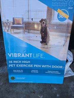 Dog fence