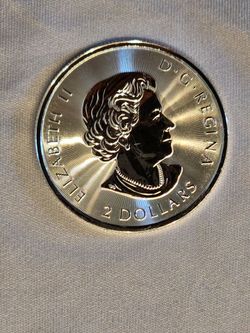 2019 Canada Polar Bear BU Coin