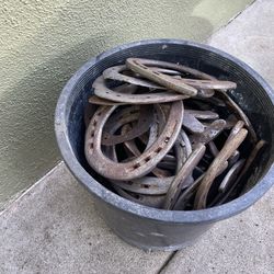 Horse shoes