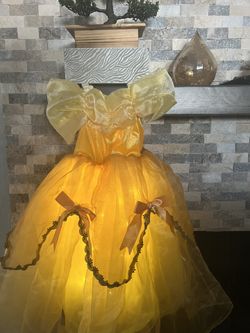 Light Up Dress Costume