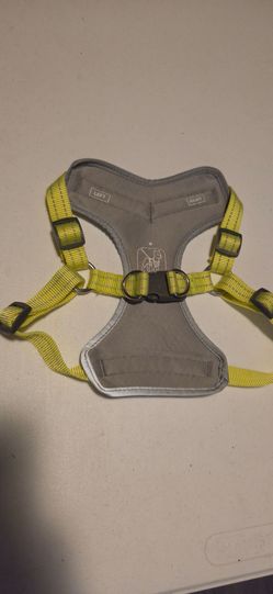 Gray and yellow harness