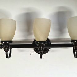 Hampton Bay 3-Light Oil Rubbed Bronze Vanity Light W/Frosted Glass Shades