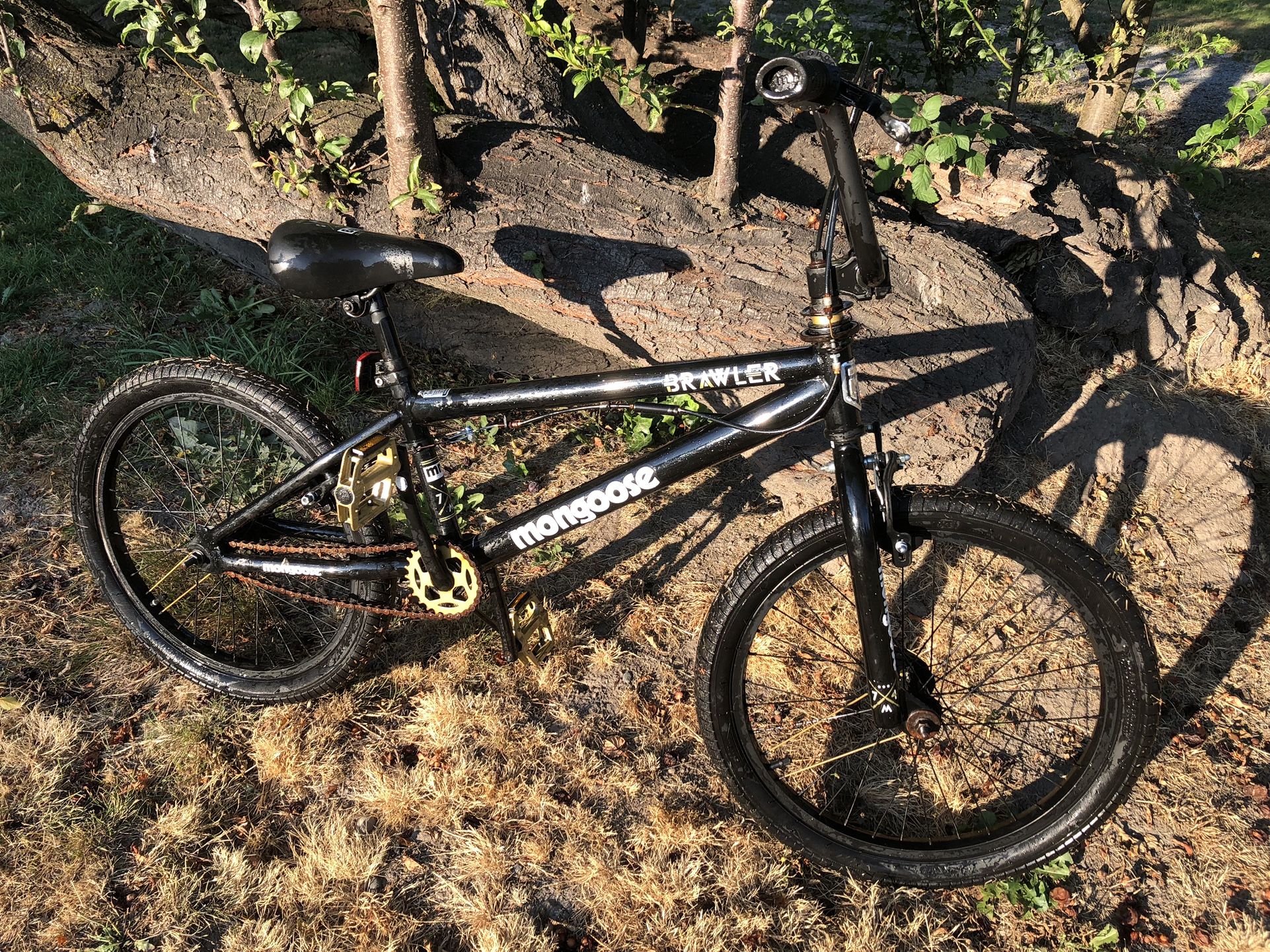 Mongoose BMX Bike
