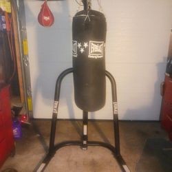 Everlast 2 Staion Dual Heavy Bag & Speed  Bag Stand