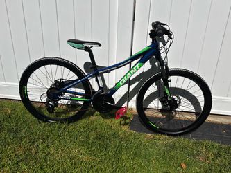 Giant Mountain Bike Blue and Green