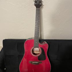 Takamine G Series Used