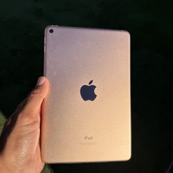 Ipad Mini 5th Gen 64Gb Wi-fi Works Great