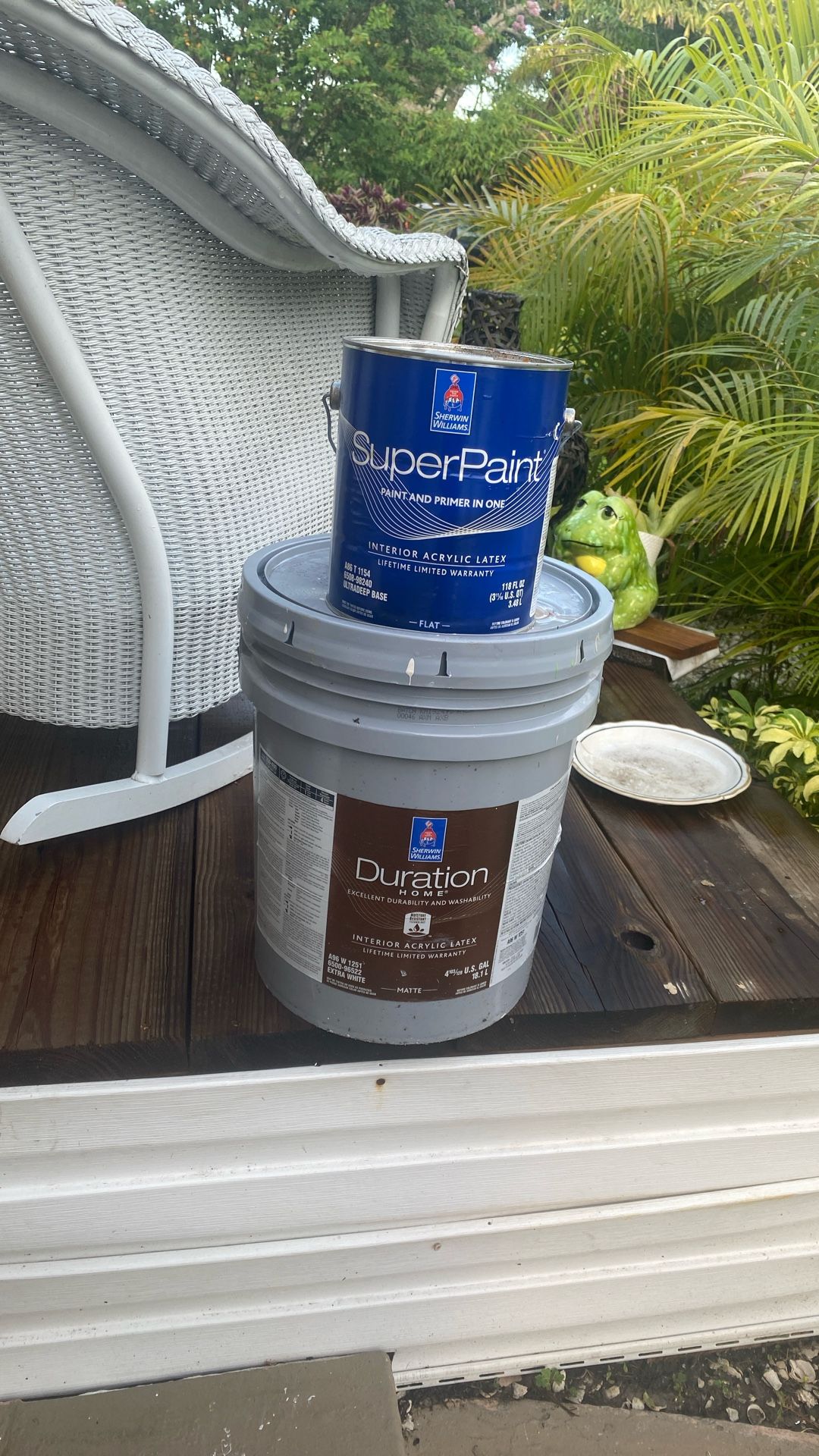 PAINT###### PAINT####