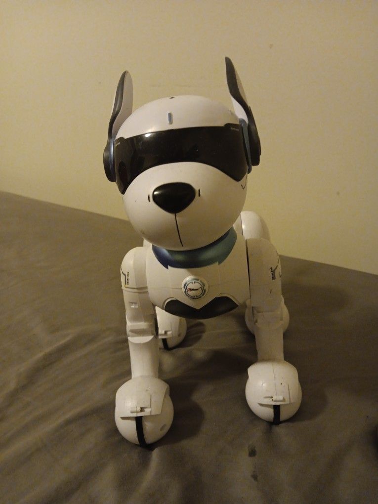 Smart Dog
