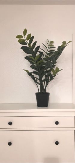 IKEA Faux ZZ Plant 🌿