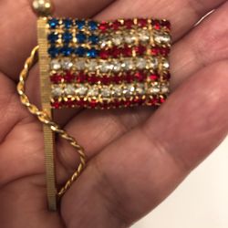 Large Flag Pin