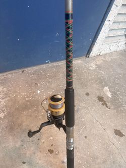 2 rods 1 reel
