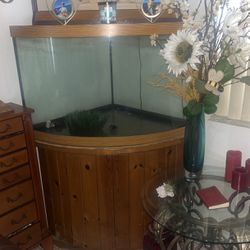 60 Gallon Corner Fish Tank