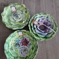 Green Succulent / Cactus Bowl And Plate Set