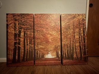 30”x45” Triptych Wall Art Picture (three 15”x30” panels)