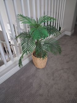 Artificial Palm plant in woven basket