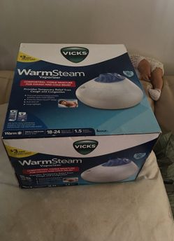 Humidifier warm steam