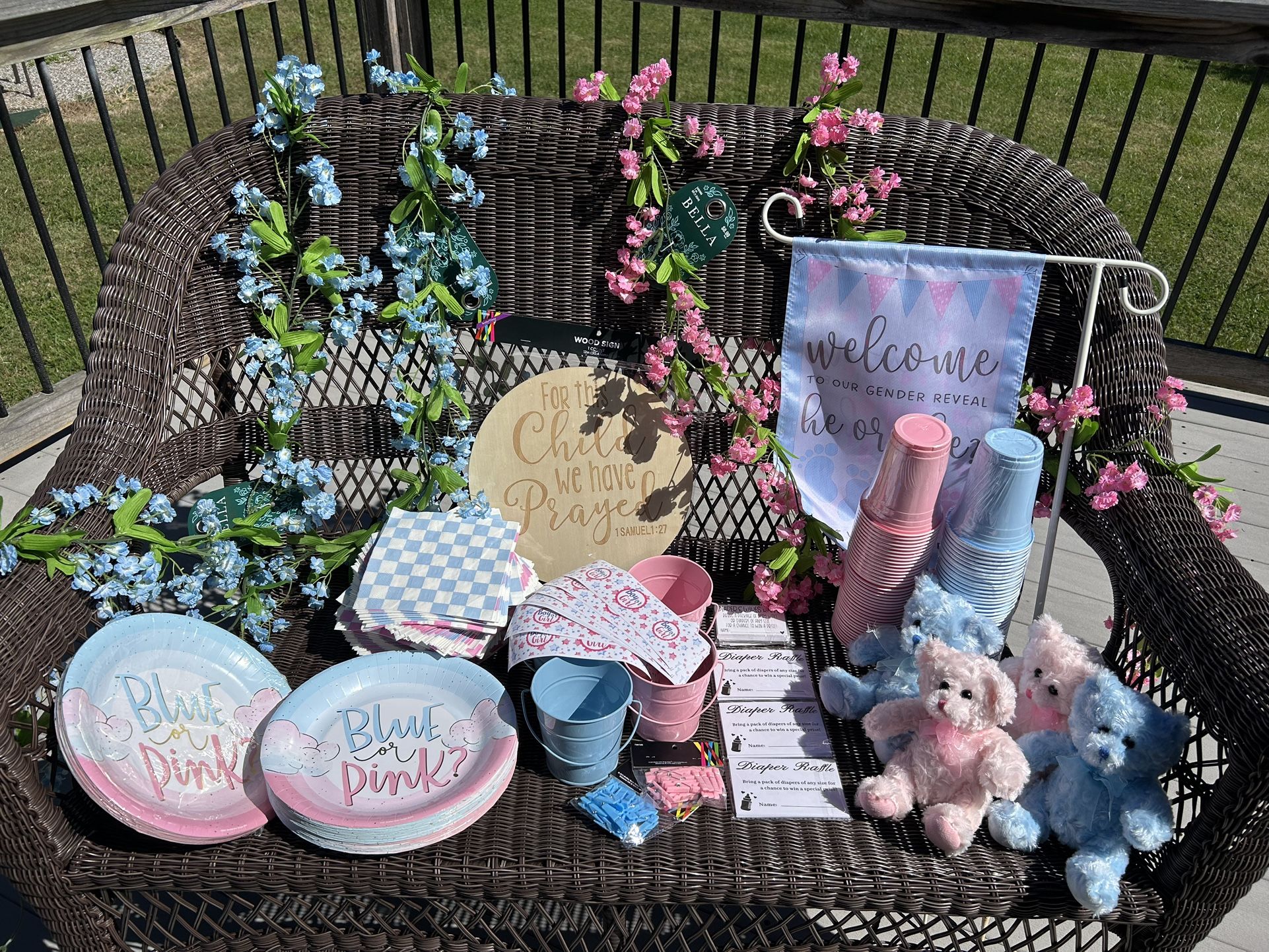 Huge Gender Reveal Lot