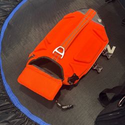 Dog Floatie